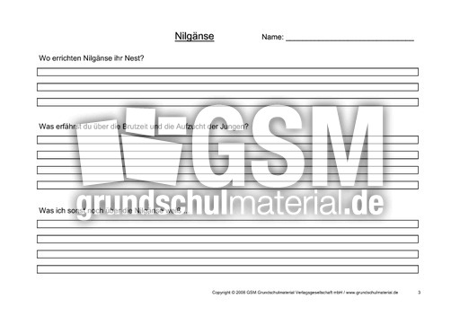 Arbeitsblatt-Nilgänse-3.pdf